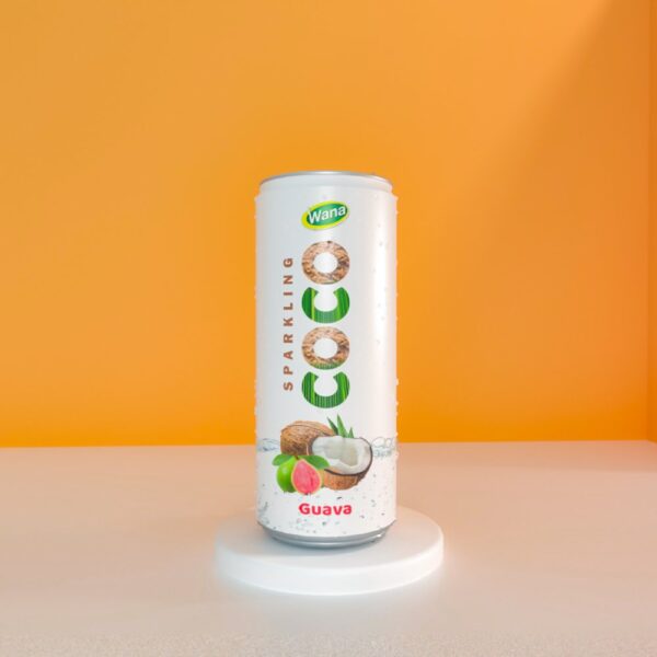 Sparkling Coco Drink with Pineapple Flavor in 250ml