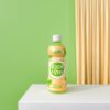 Wholesale Basil Seed Drink with Citrus Flavor 360ml Wholesale Basil Seed Drink with Citrus Flavor 360ml