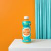 Wholesale Basil Seed Drink with Citrus Flavor 360ml
