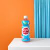 Wholesale Basil Seed Drink with Citrus Flavor 360ml