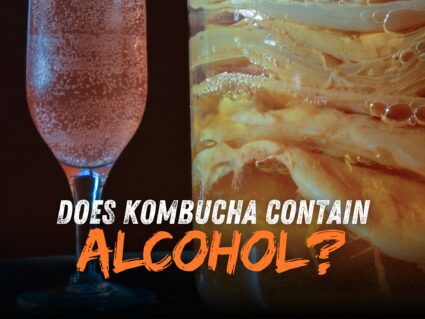 alcoholic kombucha