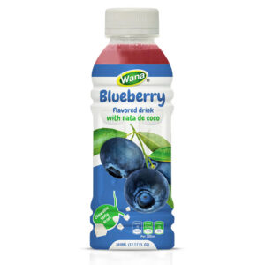 360ML - FRUIT JUICE WITH NATA DE COCO
