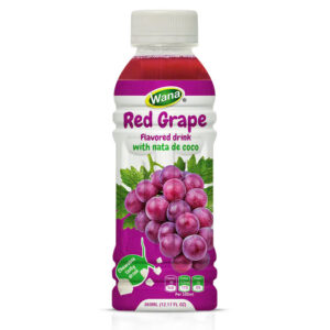 360ML - FRUIT JUICE WITH NATA DE COCO
