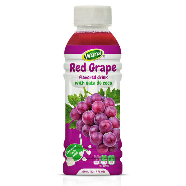 360ML - FRUIT JUICE WITH NATA DE COCO