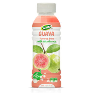 360ML - FRUIT JUICE WITH NATA DE COCO