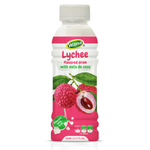 360ML - FRUIT JUICE WITH NATA DE COCO