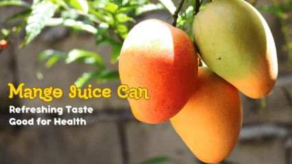 Mango Juice Can