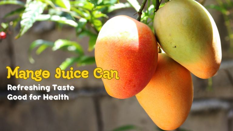 Mango Juice Can: Refreshing Taste, Good for Health