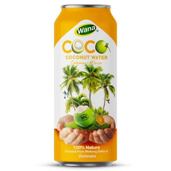 500ML - Coconut Water with Mango - Passion Fruit Flavor 500ML - Coconut Water with Mango - Passion Fruit Flavor