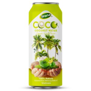 500ML - Coconut Water with Mango - Passion Fruit Flavor