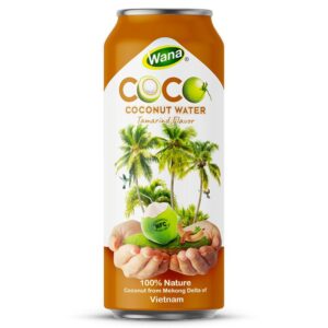500ML - Coconut Water with Mango - Passion Fruit Flavor