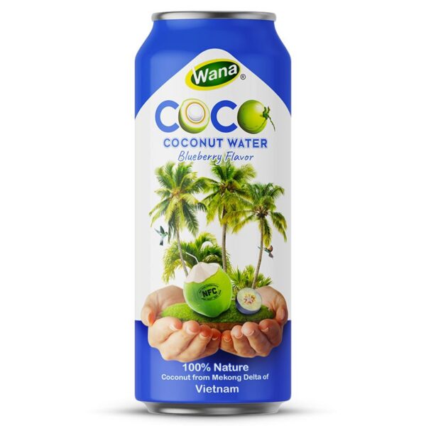 500ML - Coconut Water with Mango - Passion Fruit Flavor