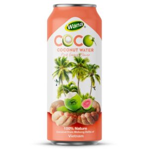 500ML - Coconut Water with Mango - Passion Fruit Flavor