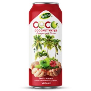 500ML - Coconut Water with Mango - Passion Fruit Flavor
