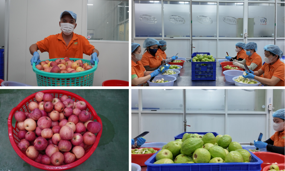wana-high-quality-fruit-products