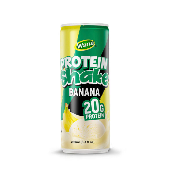 Chocolate Protein Shake