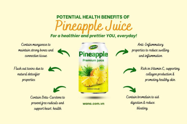 330ML - PREMIUM PINEAPPLE JUICE