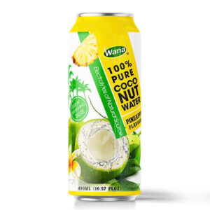 490 ML - Orange flavored Coconut Water