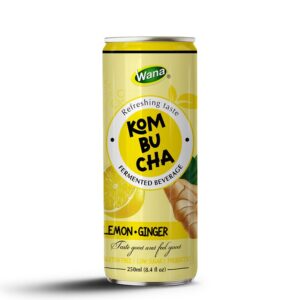 Kombucha Ginger - Active Energy from Nature