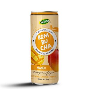 Kombucha Ginger - Active Energy from Nature