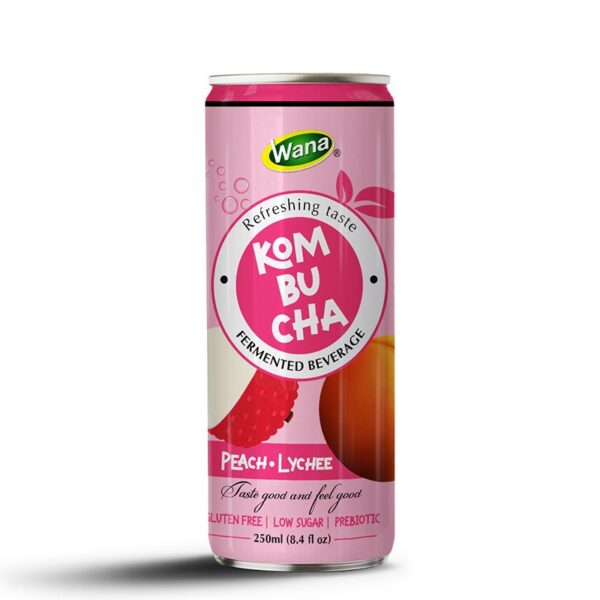 Kombucha Ginger - Active Energy from Nature