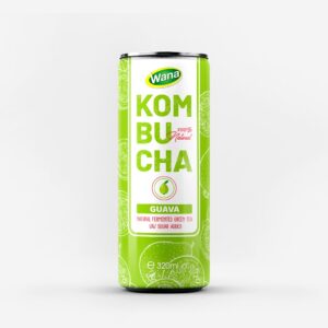Kombucha Ginger - Active Energy from Nature