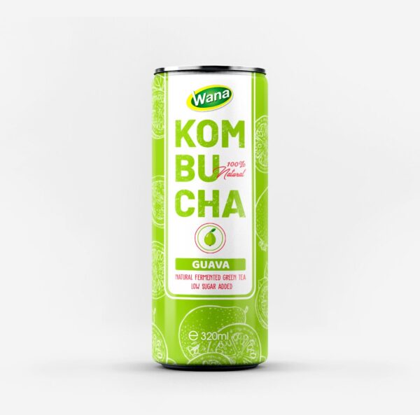 Kombucha Ginger - Active Energy from Nature
