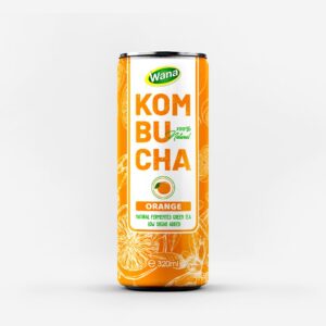 Kombucha Ginger - Active Energy from Nature
