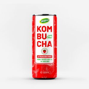 Kombucha Ginger - Active Energy from Nature