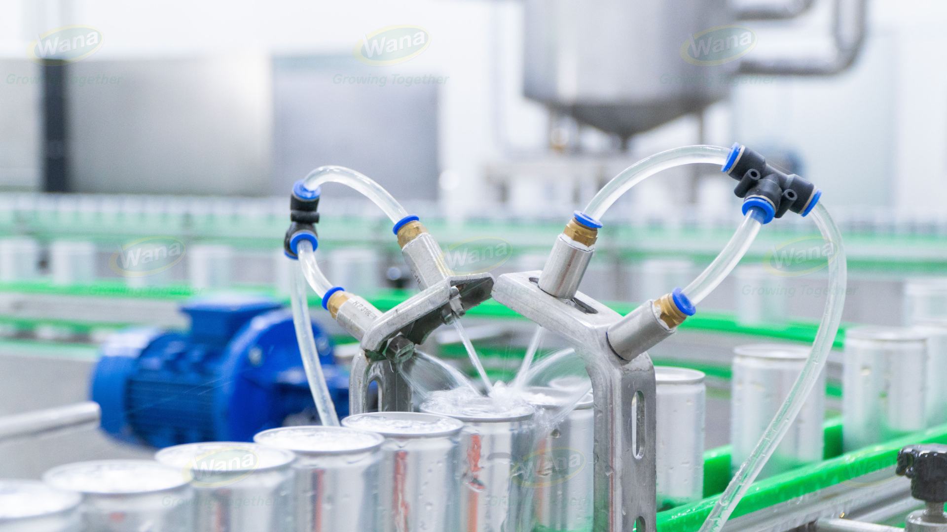 Coconut water manufacturer
