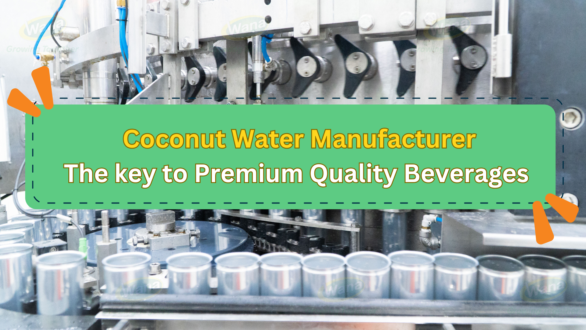 Coconut water manufacturer