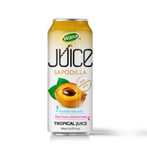 Enjoy the Refreshing Taste of Watermelon Juice with Pulp