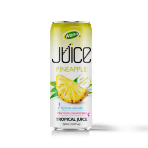 320ML - WATERMELON JUICE WITH PULP