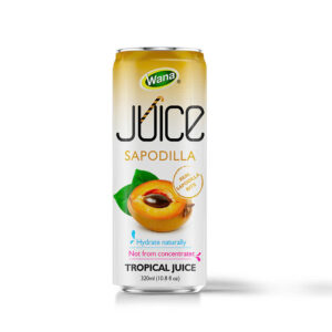 320ML - WATERMELON JUICE WITH PULP