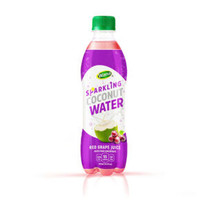 Sparkling Coconut Water with Various Flavors 500ML  – A Burst of Refreshing Flavors and Natural Energy