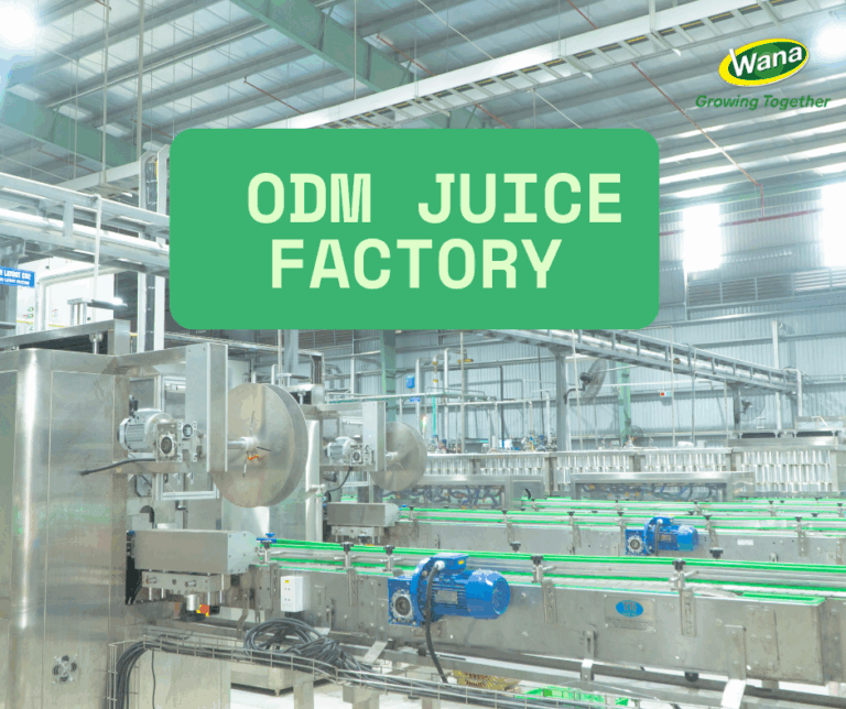 Vietnam’s ODM Juice Factories – A New Direction in the Beverage Industry