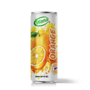 MANGO JUICE: THE GOLDEN NECTAR OF THE SUN