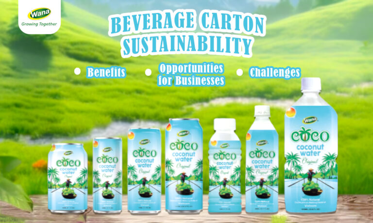 Beverage Carton Sustainability: Benefits, Challenges, and Opportunities for Businesses