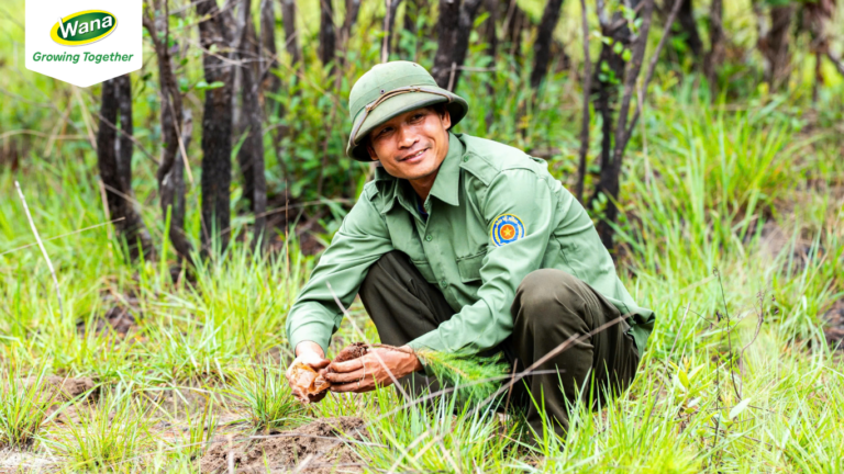 Supporting Reforestation Efforts at Tà Đùng Forest