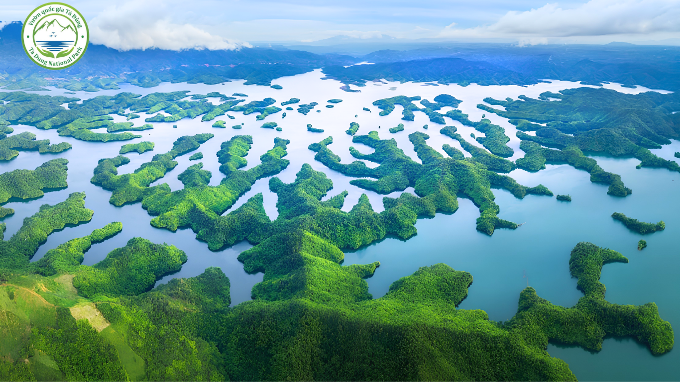 Tà Đùng Forest