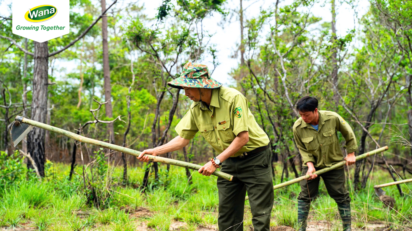 Supporting the Future of Tà Đùng Forest