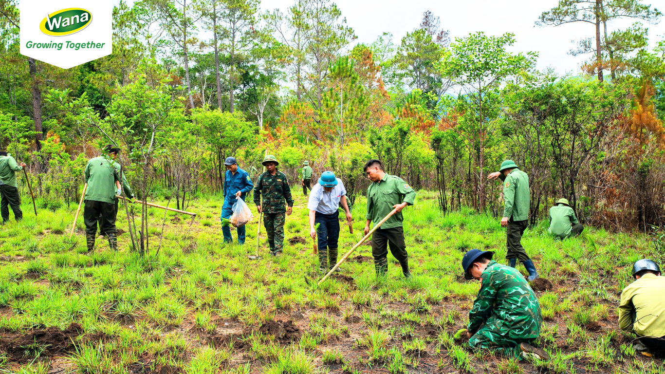 Reforestation Efforts at Tà Đùng Forest