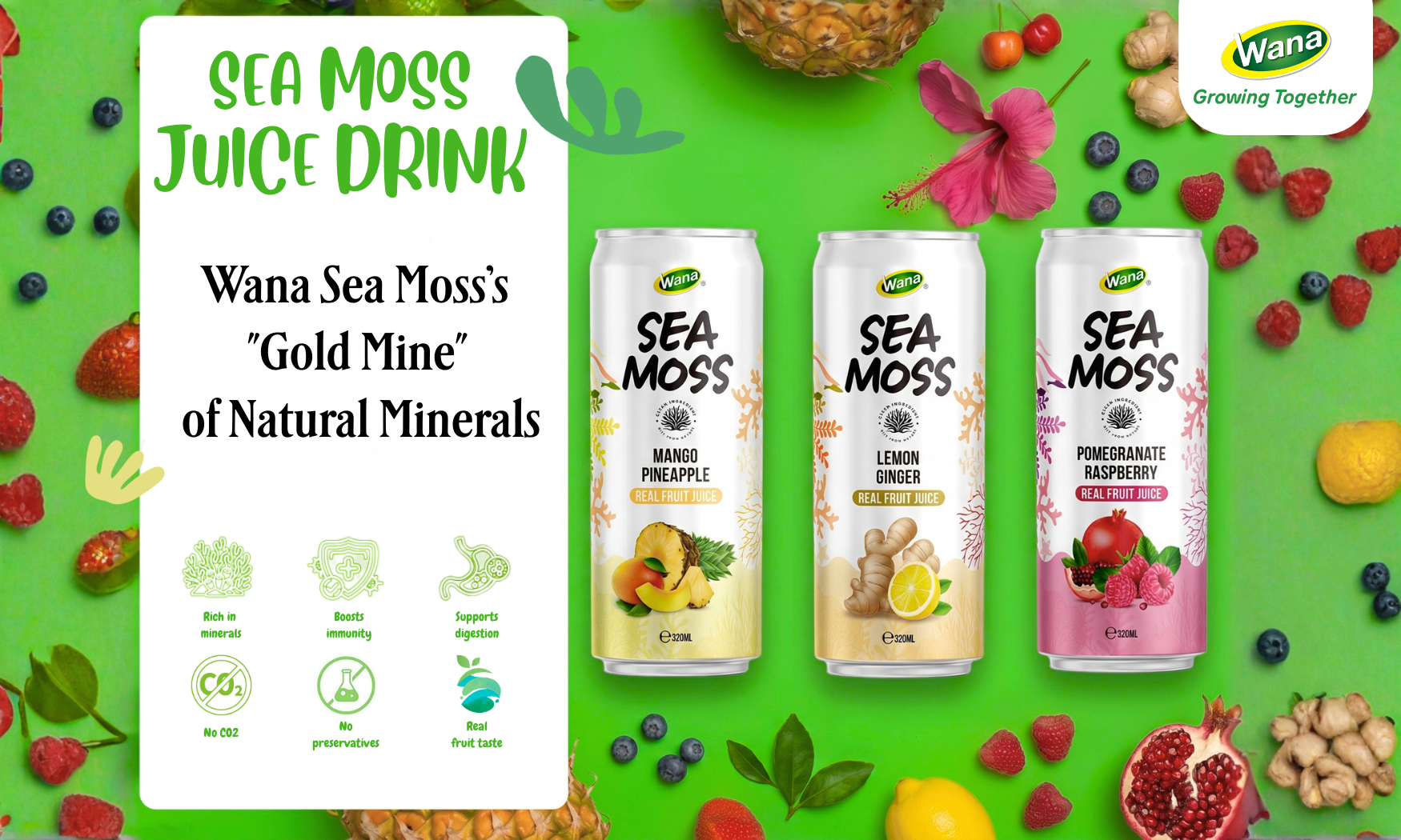 wana-sea-moss-juice-drinks-boom-in-202-and-creating-new-oppotunities-for-b2b-buyers
