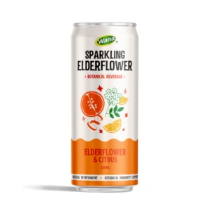 citrus-sparking-water-elderflower-botanical-beverage