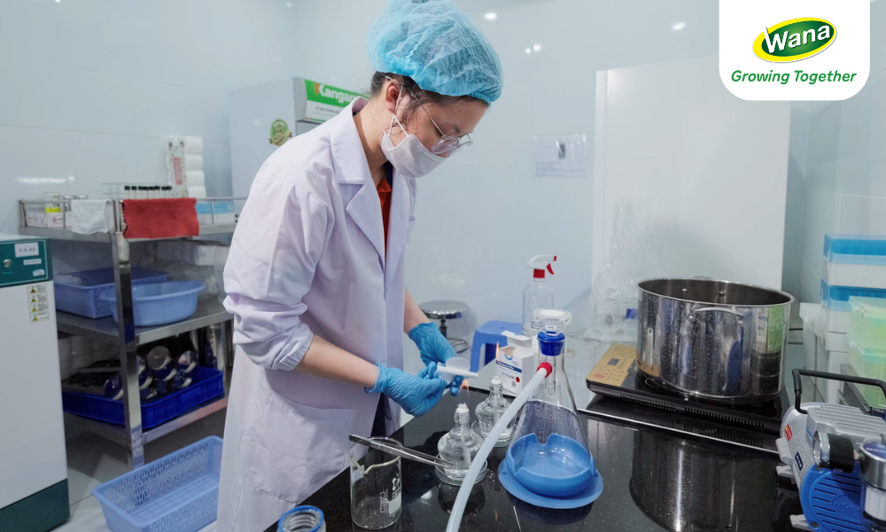wana-beverage-r&d-team