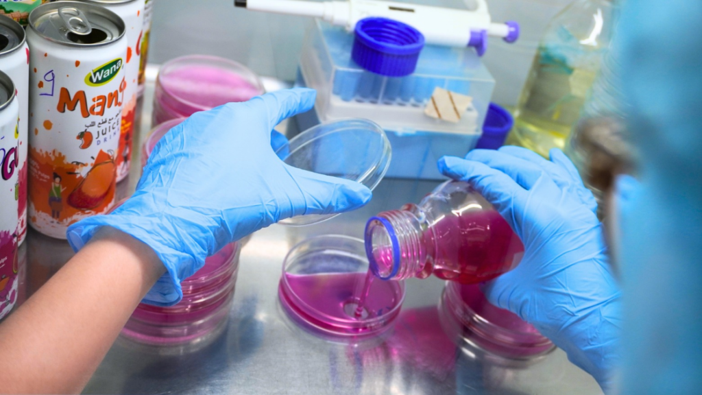 learning about R&D department is important when looking for beverage manufacturer for startups